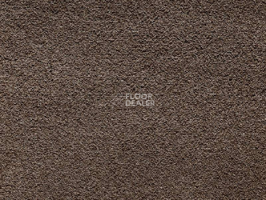 Ковролин Balta Wild Luxury Paddington 49 фото 1 | FLOORDEALER