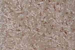 Ковролин Bell Rock Beaulieu of America 2693 фото  | FLOORDEALER