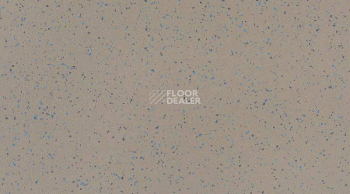 Кварцвиниловые полы Attraction Connect 635 x 635 INDIANA_8053_Anambas фото 1 | FLOORDEALER