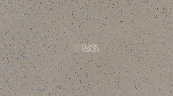 Кварцвиниловые полы Attraction Connect 635 x 635 INDIANA_8053_Anambas фото 1 | FLOORDEALER