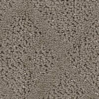 Ковролин Balsan Riziere 730 фото 1 | FLOORDEALER