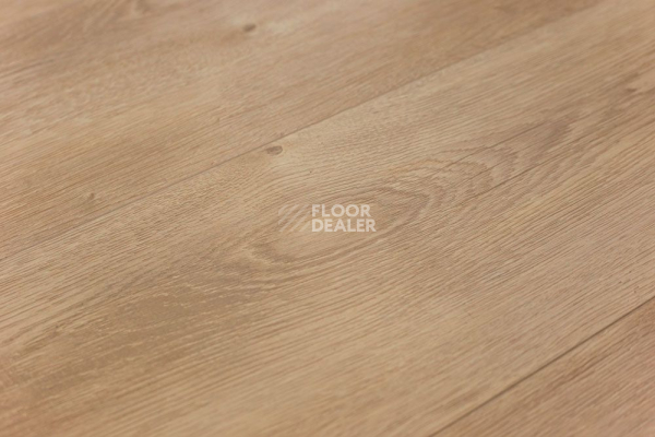 Кварцвиниловые полы Art East Art Stone Armor MPL 9мм Граб Емар 91ARM фото 1 | FLOORDEALER