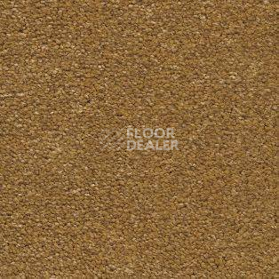 Ковролин AW Aphrodite 50 фото 1 | FLOORDEALER