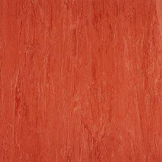 Линолеум Polyflor Xl Pu 3840 фото 1 | FLOORDEALER