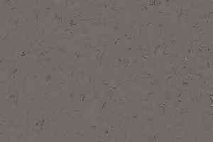 Кварцвиниловые полы Forbo Allura Colour C68015 фото  | FLOORDEALER