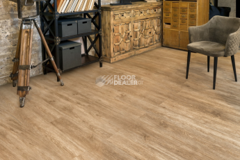 Alpine Floor Grand Sequoia Superior ABA 8мм Камфора ECO 11-503 фото 2 | FLOORDEALER