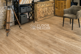 Alpine Floor Grand Sequoia Superior ABA 8мм Камфора ECO 11-503 фото 2 | FLOORDEALER