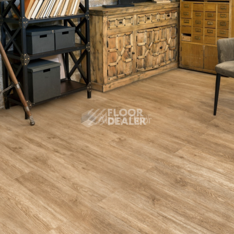 Alpine Floor Grand Sequoia Superior ABA 8мм Камфора ECO 11-503 фото 2 | FLOORDEALER