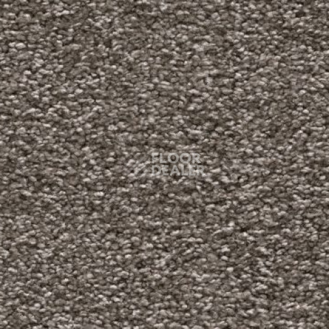 Ковролин Vorwerk Amiru 5r19 фото 1 | FLOORDEALER