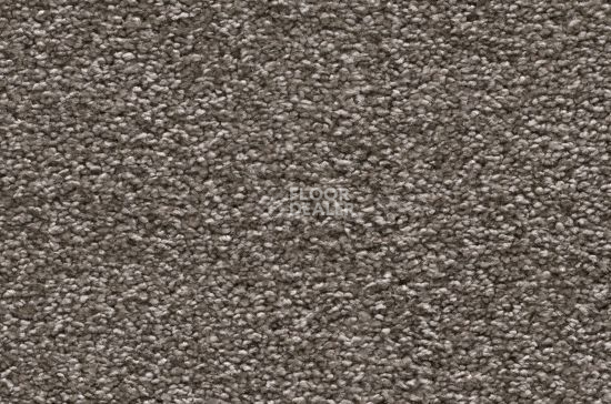 Ковролин Vorwerk Amiru 5r19 фото 1 | FLOORDEALER