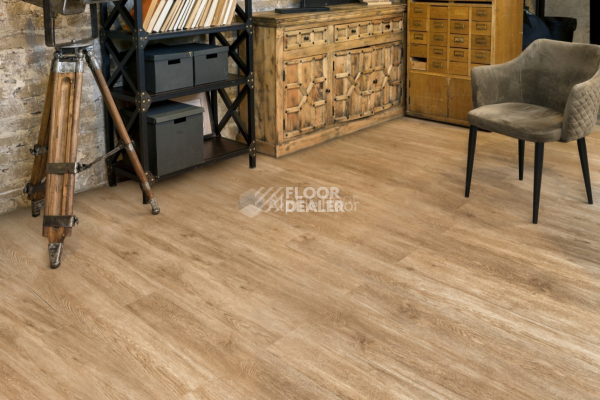Alpine Floor Grand Sequoia Superior ABA 8мм Камфора ECO 11-503 фото 2 | FLOORDEALER