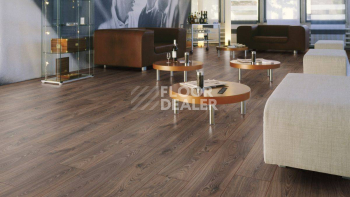 Kronotex Robusto 12мм d3590 Дуб Таймлесс фото 2 | FLOORDEALER