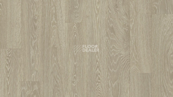 Линолеум Tarkett Junior TOMPSON 1 фото 1 | FLOORDEALER