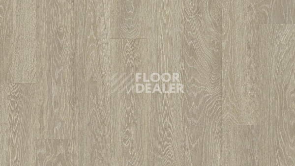 Линолеум Tarkett Junior TOMPSON 1 фото 1 | FLOORDEALER
