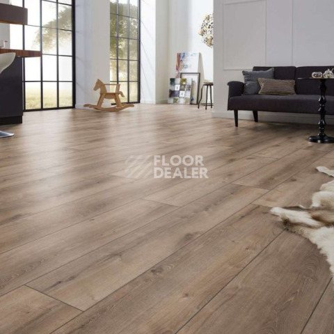 Kronotex Exquisit Plus d6020 Дуб Кашмир Титан фото 6 | FLOORDEALER