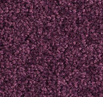 Ковролин Balsan Bolero roll 890 фото 1 | FLOORDEALER