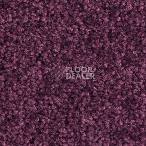 Ковролин Balsan Bolero roll 890 фото 1 | FLOORDEALER