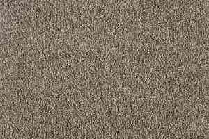 Ковролин Big Monsoon 303 фото  | FLOORDEALER