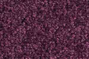 Ковролин Balsan Bolero roll 890 фото  | FLOORDEALER