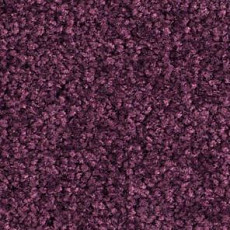 Ковролин Balsan Bolero roll 890 фото 1 | FLOORDEALER