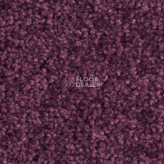 Ковролин Balsan Bolero roll 890 фото 1 | FLOORDEALER