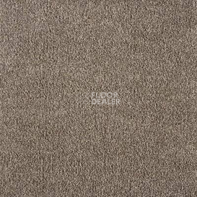 Ковролин Big Monsoon 303 фото 1 | FLOORDEALER