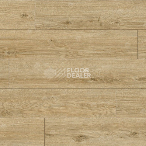 Classen Arteo 8 M 62753 Дуб Каракум фото 2 | FLOORDEALER