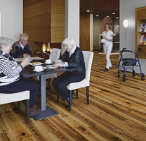 Flotex Vision Naturals 010012 Light Elm фото 2 | FLOORDEALER