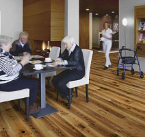 Flotex Vision Naturals 010012 Light Elm фото 2 | FLOORDEALER