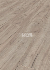 Ламинат Terhurne Dureco Classic Line 2806 / a06 Дуб Нордик Бежевый фото 1 | FLOORDEALER