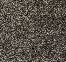 Ковролин Vorwerk Lyrica 5m98 фото 1 | FLOORDEALER