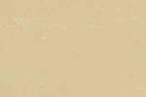 Кварцвиниловые полы Polyflex Plus PU 6060 фото  | FLOORDEALER