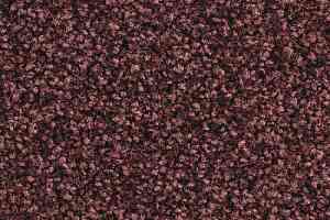 Ковролин Balsan Script 580 фото  | FLOORDEALER