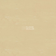 Кварцвиниловые полы Polyflex Plus PU 6060 фото 1 | FLOORDEALER