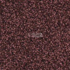 Ковролин Balsan Script 580 фото 1 | FLOORDEALER