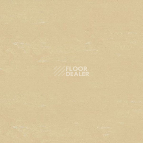 Кварцвиниловые полы Polyflex Plus PU 6060 фото 1 | FLOORDEALER