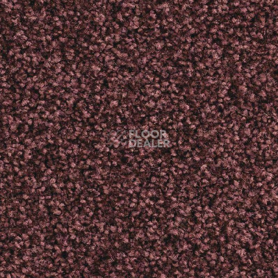 Ковролин Balsan Script 580 фото 1 | FLOORDEALER