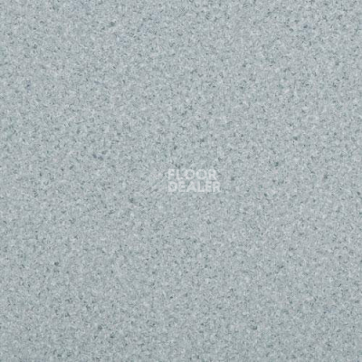 Линолеум Lg Durable DU90007 фото 1 | FLOORDEALER
