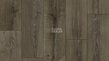 Линолеум Tarkett Caprice Dilan 3 фото 1 | FLOORDEALER