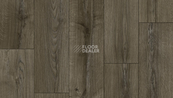 Линолеум Tarkett Caprice Dilan 3 фото 1 | FLOORDEALER