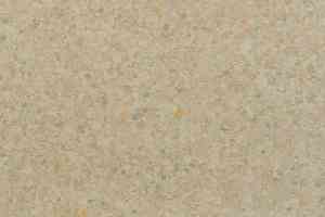 Линолеум Tarkett iQ Aria CARII-667 фото  | FLOORDEALER