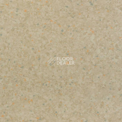 Линолеум Tarkett iQ Aria CARII-667 фото 1 | FLOORDEALER