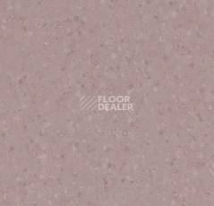 Линолеум Forbo Sphera Element 50071 violet фото 1 | FLOORDEALER