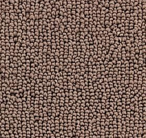 Ковролин Edel Cocoon 185 фото 1 | FLOORDEALER