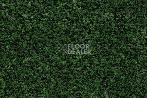 Грязезащитные покрытия Forbo Coral в плитке 5708 avocado green фото 1 | FLOORDEALER