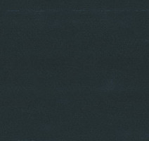 Кварцвиниловые полы Polyflex Plus PU 6040 фото 1 | FLOORDEALER