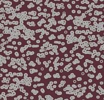 Ковролин Flotex Sottsass Bacteria 990402 фото 1 | FLOORDEALER