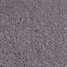 Serene Beaulieu of America 24 фото 1 | FLOORDEALER