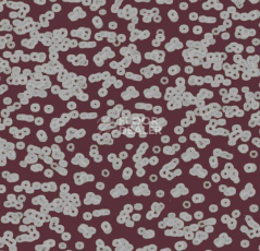 Ковролин Forbo Flotex Sottsass Bacteria 990402 фото 1 | FLOORDEALER