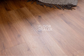 Vinilpol Glue 2мм 8833 EIR ДУБ САН-РЕМО фото 7 | FLOORDEALER